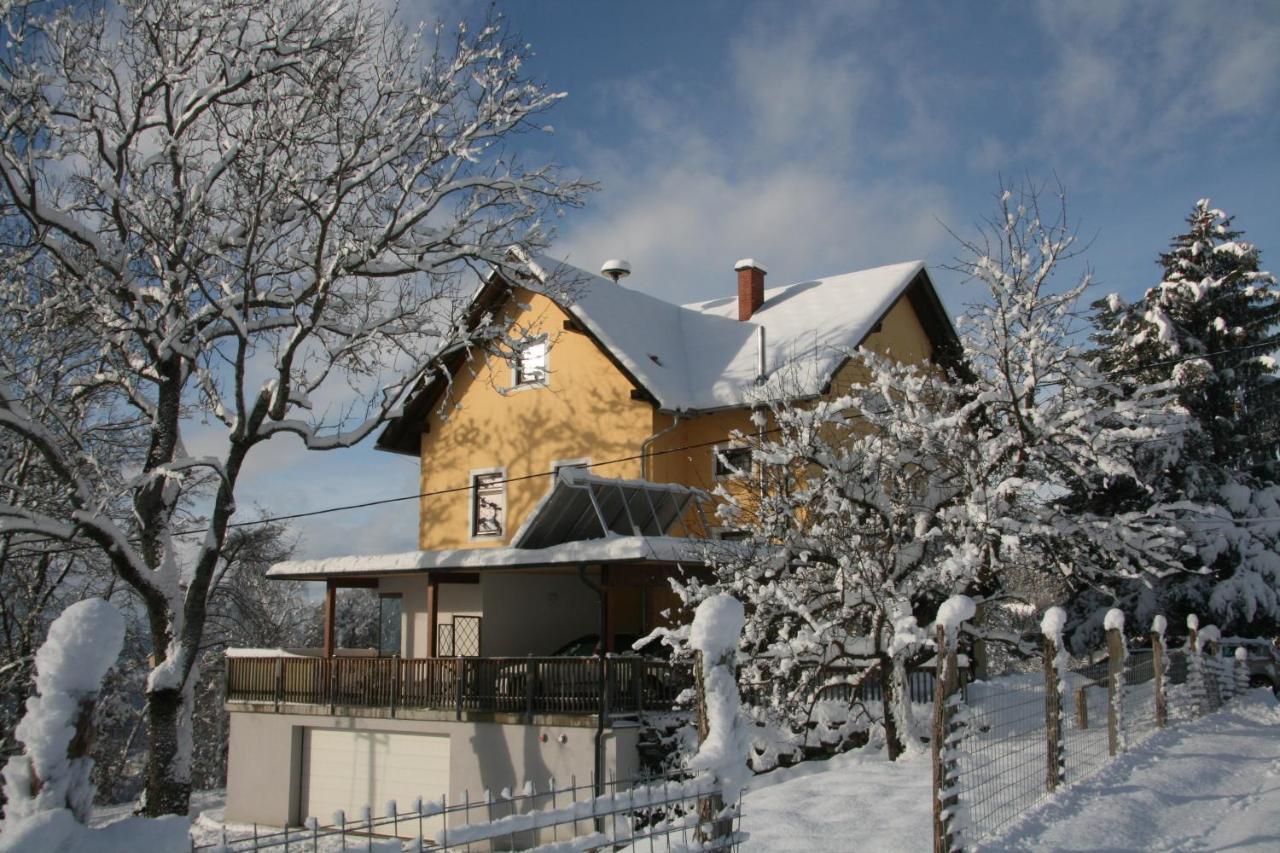 Apartmán Alte Volksschule - Schual In Gradne Liebenfels Exteriér fotografie